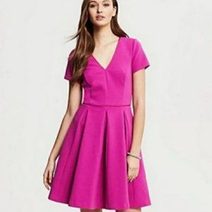 Fashionable women's dresses, women's skirt above the knee